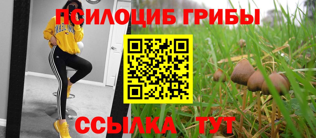 Лянтор  Псилоцибиновые грибы GOLDEN TEACHER  Вход с VPN 